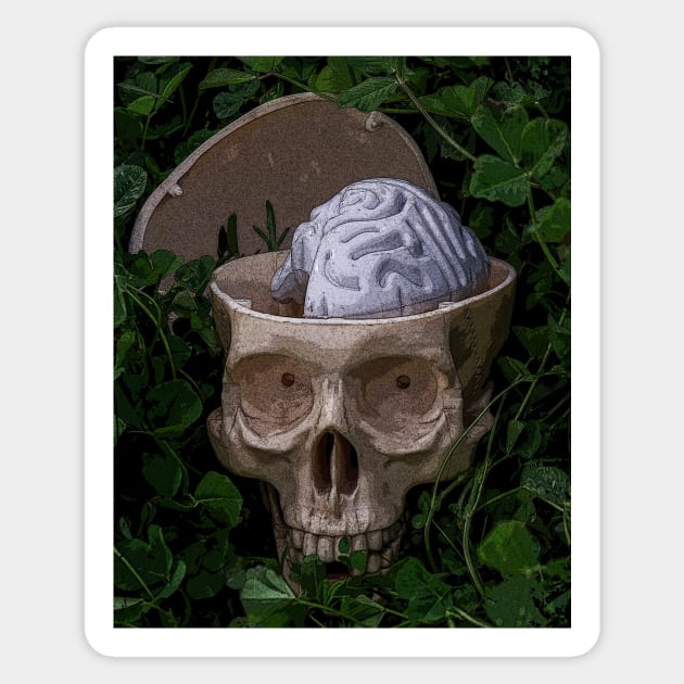 Use your brain-Skull on the grass-Humor Sticker by StabbedHeart